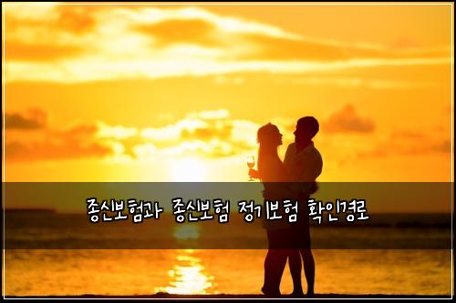 μ’
μ 보νκ³Ό μ’
μ 보ν μ 기보ν νμΈκ²½λ‘