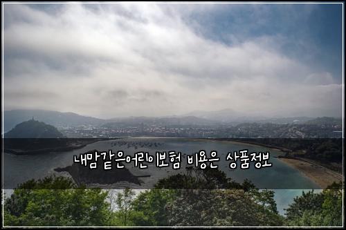 내맘같은어린이보험 비용은  상품정보