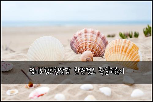 정기보험보험상담 관련정보 확실히준비