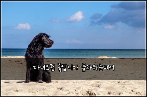 ์๋
๋ณดํ ์ข๋ต๋๋ค ๋ค๋ผํ๋๋ฐ์ฌ