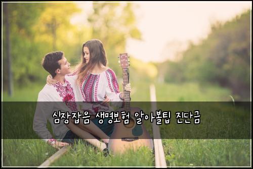 심장잡음 생명보험 알아볼팁  진단금