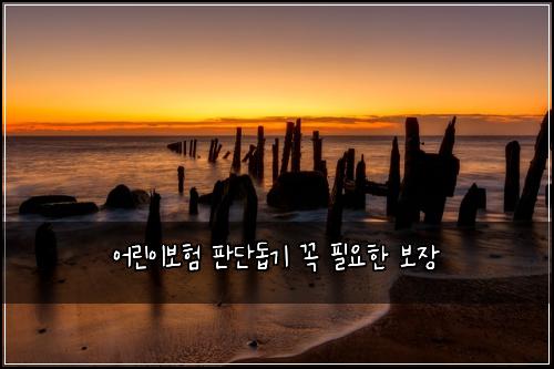 어린이보험 판단돕기  꼭 필요한 보장