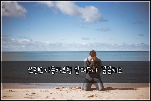 쏘렌토자동차보험 살펴두자  꼼꼼체크
