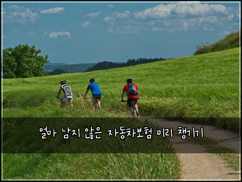 얼마 남지 않은 자동차보험 미리 챙기기