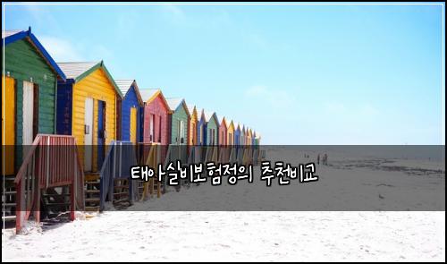 태아실비보험정의 추천비교
