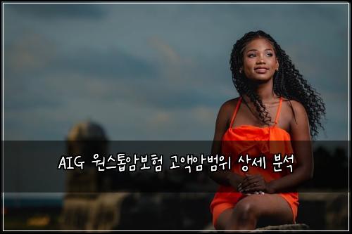 AIG 원스톱암보험 고액암범위 상세 분석