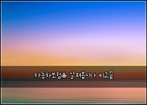 자동차보험db 살펴봅시다 비교끝