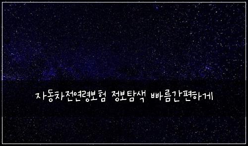 자동차전연령보험 정보탐색  빠름간편하게