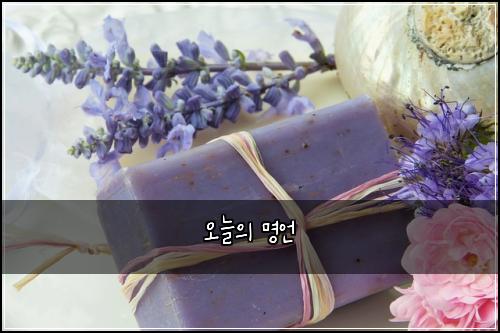 오늘의 명언