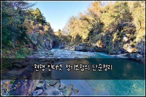 현행 인터넷 정기보험의 단순정리