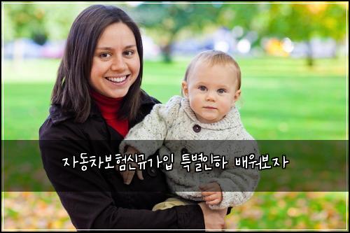 ์๋์ฐจ๋ณดํ์ ๊ท๊ฐ์
ํน๋ณ์ธํ ๋ฐฐ์๋ณด์
