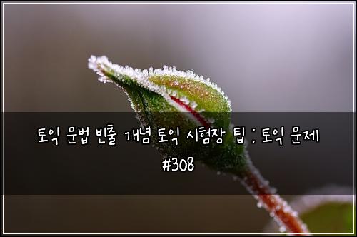 토익 문법 빈출 개념 토익 시험장 팁 : 토익 문제 #308