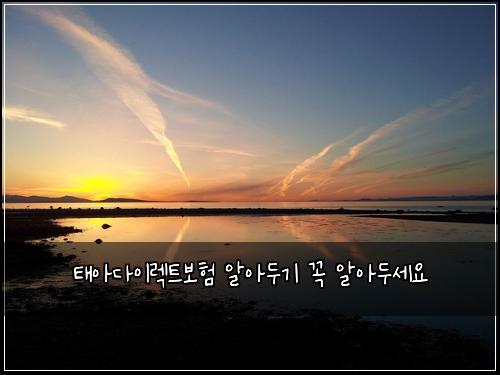 태아다이렉트보험 알아두기  꼭 알아두세요