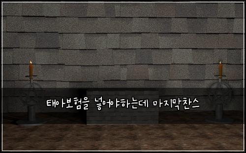 ํ์๋ณดํ์ ๋ฃ์ด์ผํ๋๋ฐ ๋ง์ง๋ง์ฐฌ์ค