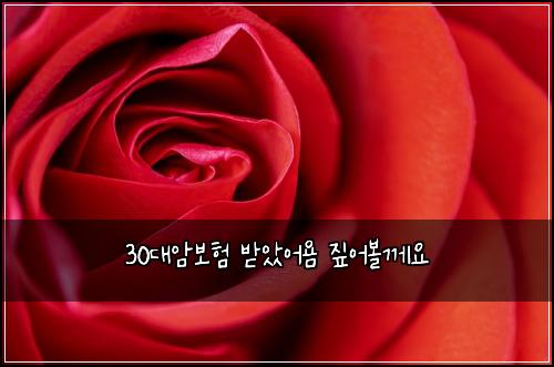 30๋์๋ณดํ ๋ฐ์์ด์ค ์ง์ด๋ณผ๊ป์