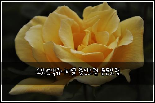 교보변액유니버셜 종신보험 든든보험 