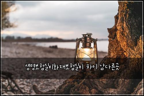 생명보험실비화재보험실비 차이 남다른곳