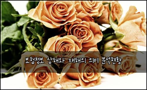 보험정보 상해와 재해의 의미 분석현황