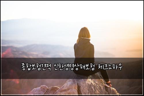 ์ข
ํฉ๋ณดํ๊ฒฌ์ ์ ํ์๋ช
์ํด๋ณดํ ์ฒดํฌ๋
ธํ์ฐ