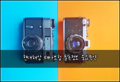 현대해상 태아보험 필독정보  중요특약