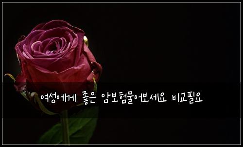여성에게 좋은 암보험물어보세요 비교필요