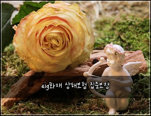 aigํ์ฌ ์ํด๋ณดํ ์ง์ค๋ณด์ฅ