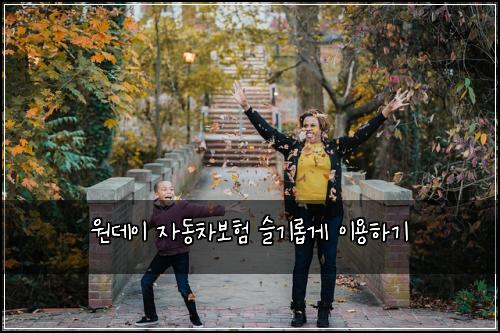 원데이 자동차보험 슬기롭게 이용하기