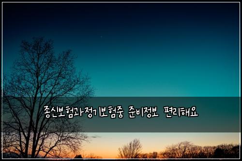 종신보험과정기보험중 준비정보 편리해요