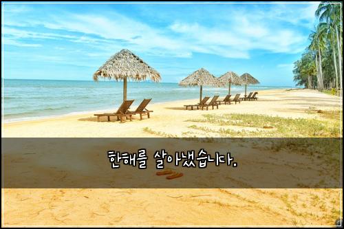 한해를 살아냈습니다.