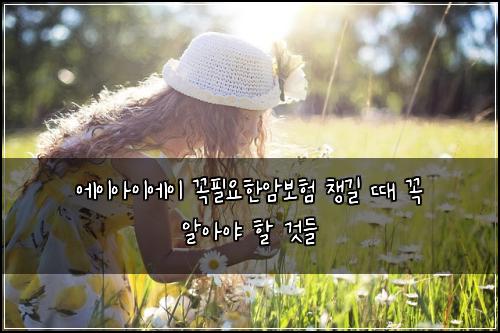 에이아이에이 꼭필요한암보험 챙길 때 꼭 알아야 할 것들