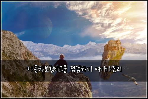 자동차보험비교몰 점검하기 여기가진리