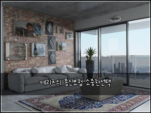 메리츠의 종신보험 소중한선택 
