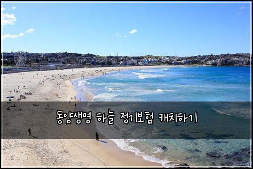 동양생명 하늘 정기보험 캐치하기 