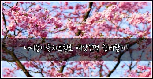 나이별자동차보험료 예상견적 쉽게할까