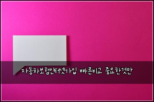 자동차보험인터넷가입 빠른비교 중요한것만