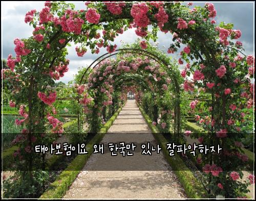 ํ์๋ณดํ์ด์ ์ ํ๊ตญ๋ง ์๋ ์ํ์
ํ์
