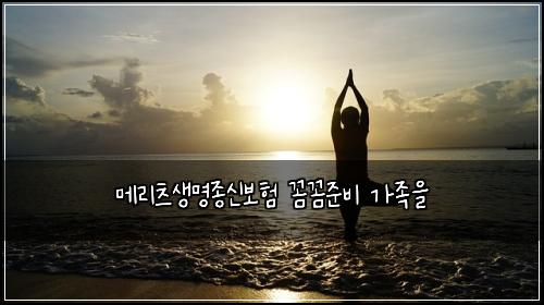 메리츠생명종신보험 꼼꼼준비  가족을
