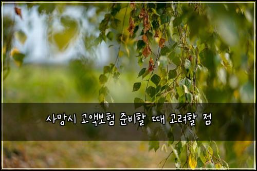 사망시 고액보험 준비할 때 고려할 점