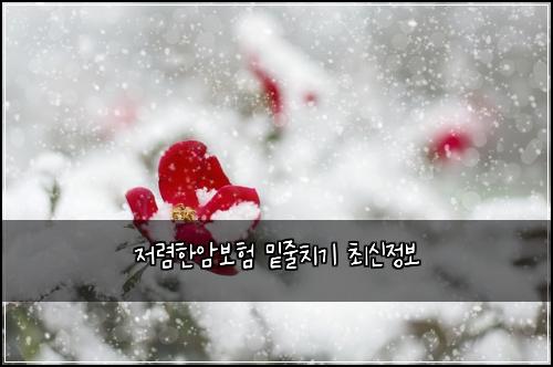 저렴한암보험 밑줄치기  최신정보
