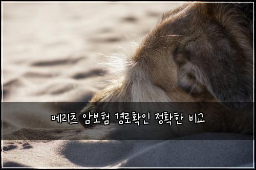 ๋ฉ๋ฆฌ์ธ ์๋ณดํ ๊ฒฝ๋กํ์ธ ์ ํํ ๋น๊ต