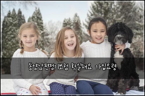 동양남편정기보험 확실해요  가입요령