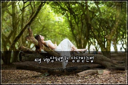 aig vip์ํด๋ณดํ ์๋ด๋ฐ๋๋ฒ