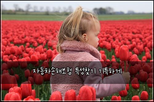 ์๋์ฐจ์ํด๋ณดํ ํน์ฑ์ฐพ๊ธฐ ๊ธฐํนํ๊ฒ