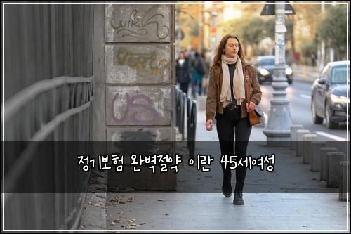 정기보험 완벽절약  이란 45세여성