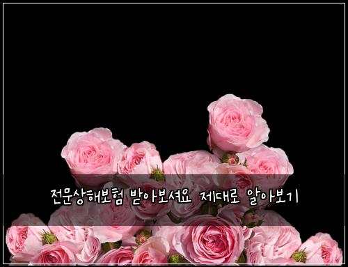 전문상해보험 받아보셔요  제대로 알아보기
