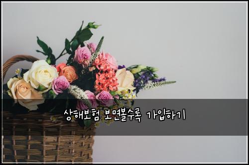 상해보험 보면볼수록  가입하기