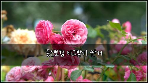 ์ข
์ ๋ณดํ ๋น๊ต๋ฐ๊ธฐ ์ผ๊ฑฐ