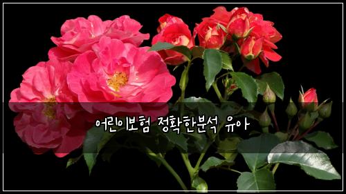 ์ด๋ฆฐ์ด๋ณดํ ์ ํํ๋ถ์ ์ ์