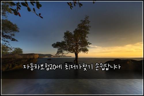 자동차보험20세 최저가찾기 손쉽답니다