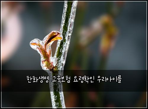 한화생명 교육보험 요령확인  우리아이를
